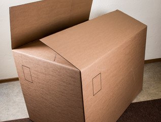 Multipack or bulk packaging